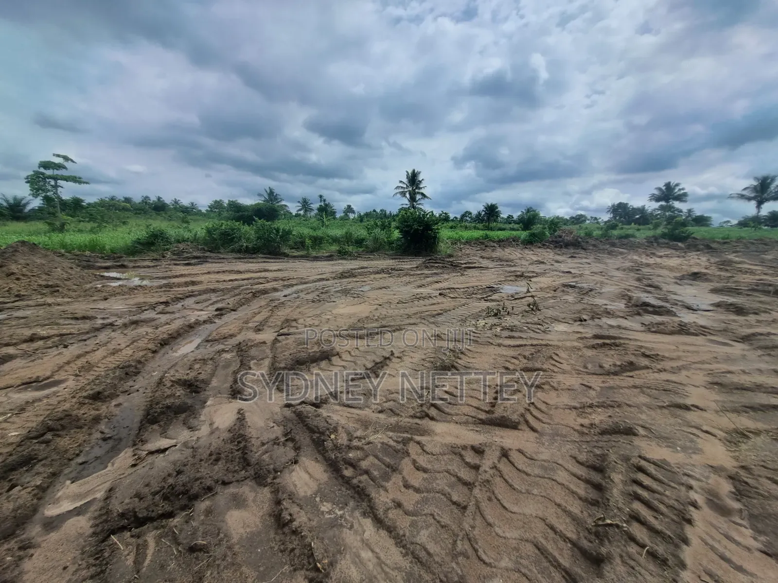 10-Acre Land for Sale – Mankrong, Nkwanta