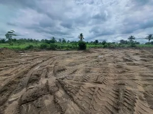 10-Acre Land for Sale – Mankrong, Nkwanta