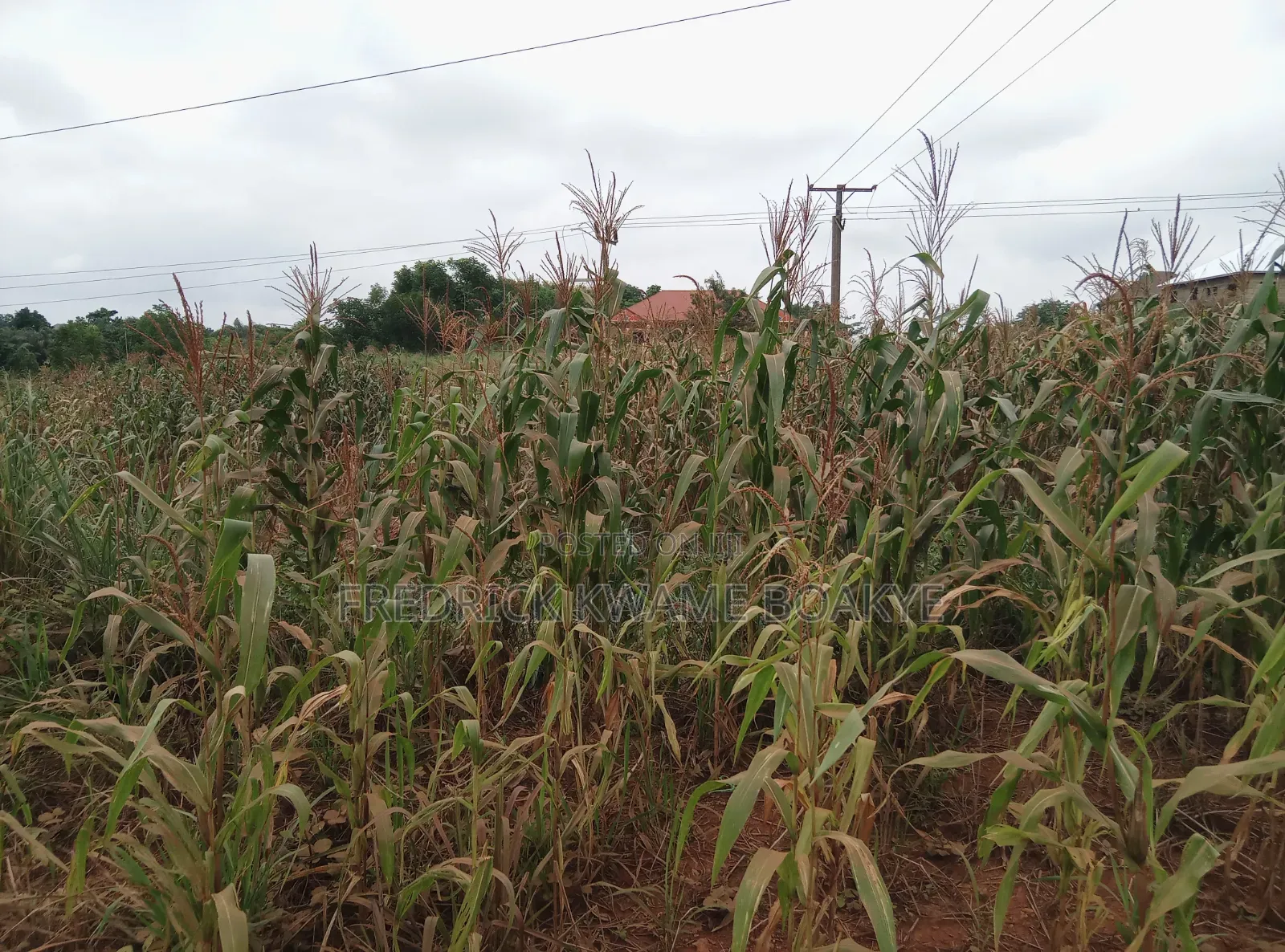 2 Plots of Land for Sale at Twedie Main Road