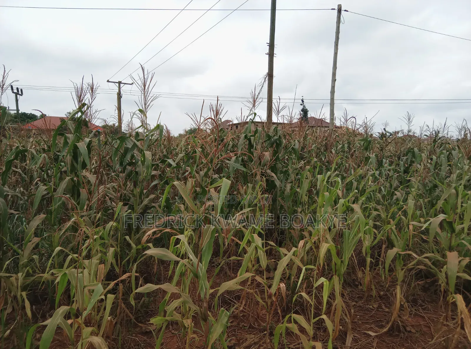 2 Plots of Land for Sale at Twedie Main Road