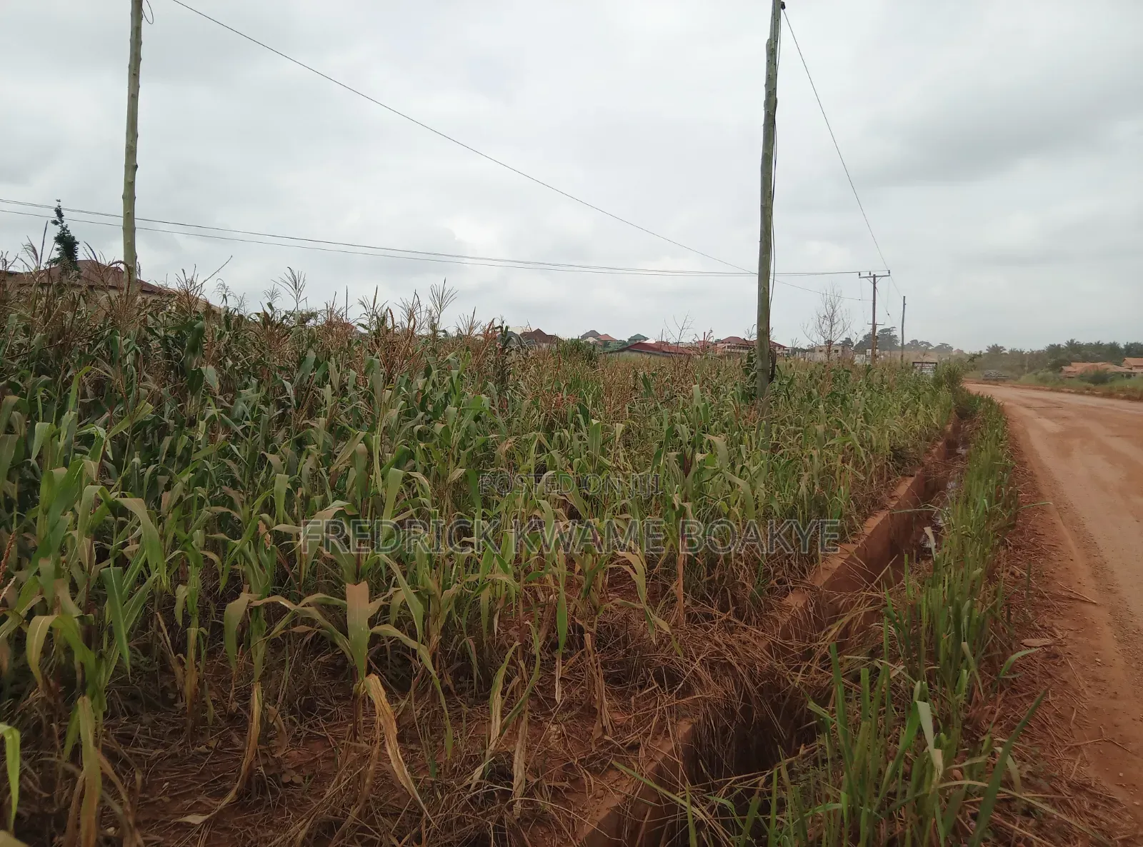 2 Plots of Land for Sale at Twedie Main Road