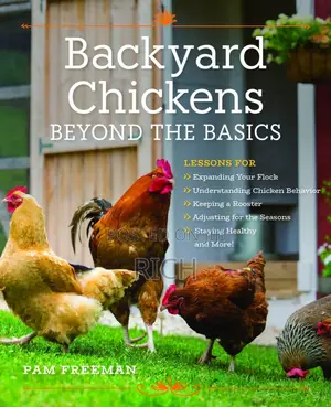 Poultry Farm Brooder