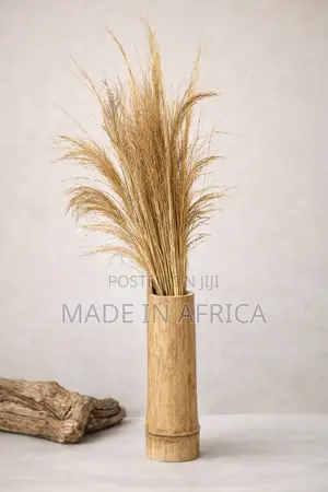 Bamboo Vases Plant Feeders