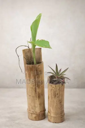 Bamboo Vases Plant Feeders