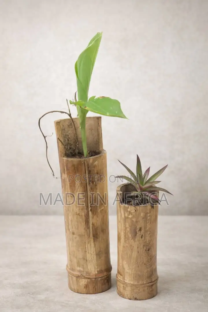 Bamboo Vases Plant Feeders