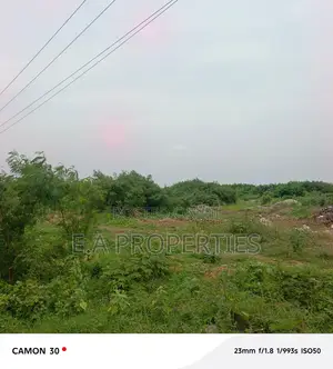 19 Acres for Land for Sale