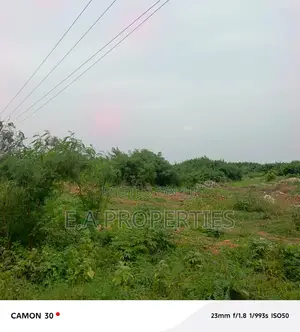 19 Acres for Land for Sale