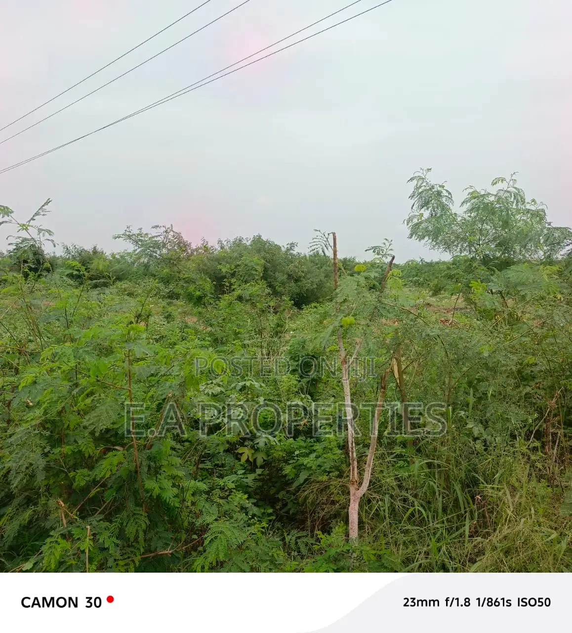 19 Acres for Land for Sale