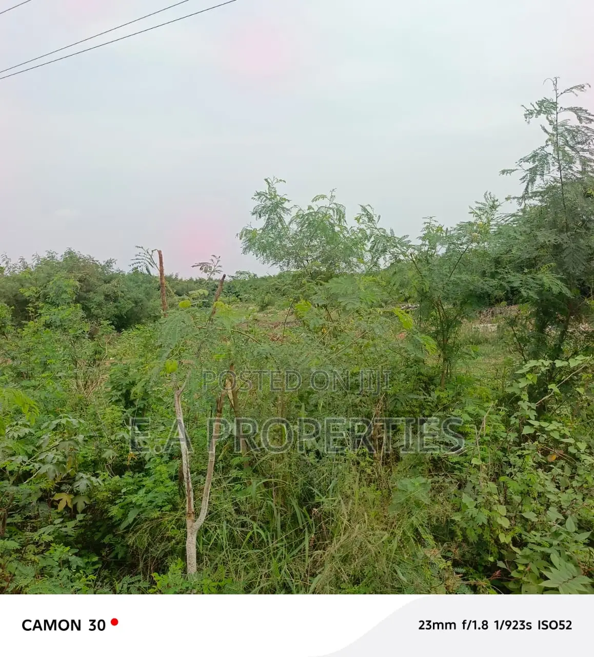 19 Acres for Land for Sale