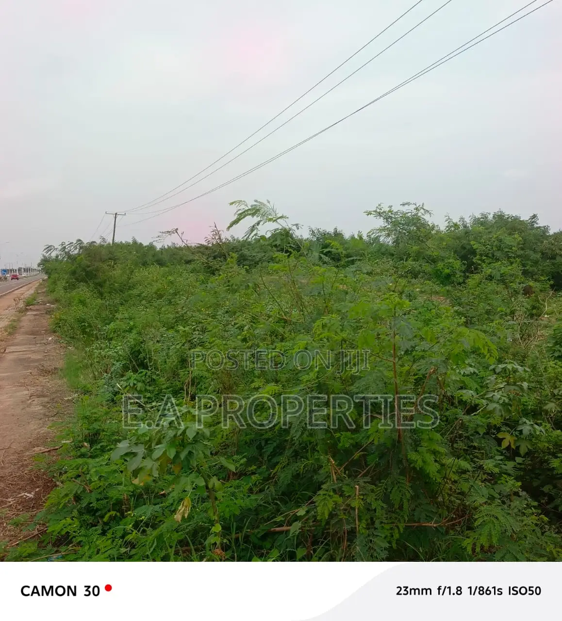 19 Acres for Land for Sale