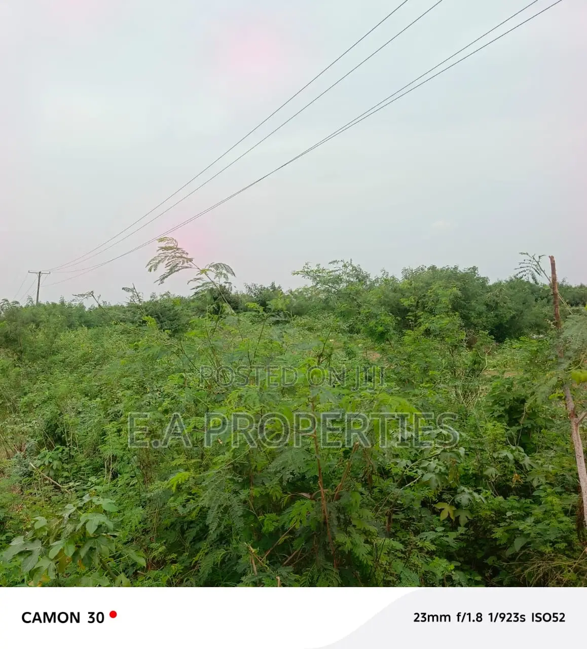 19 Acres for Land for Sale