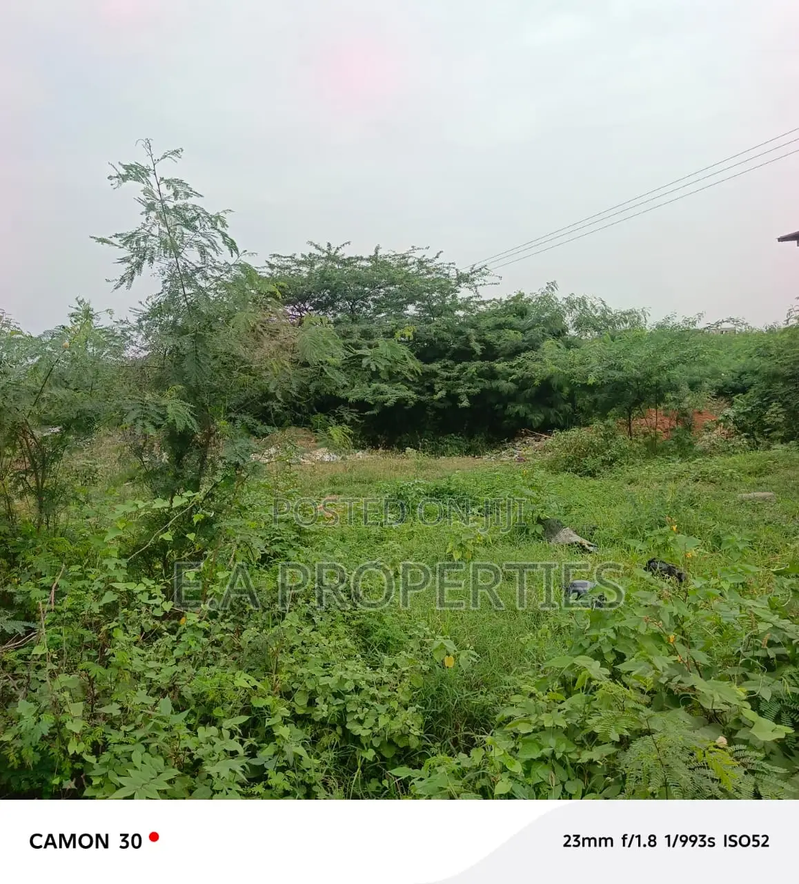 19 Acres for Land for Sale