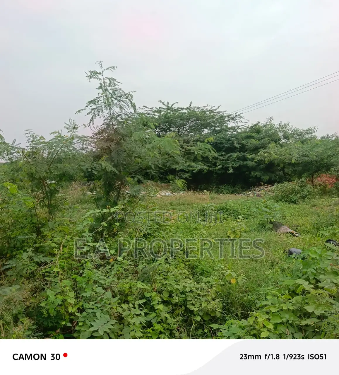 19 Acres for Land for Sale