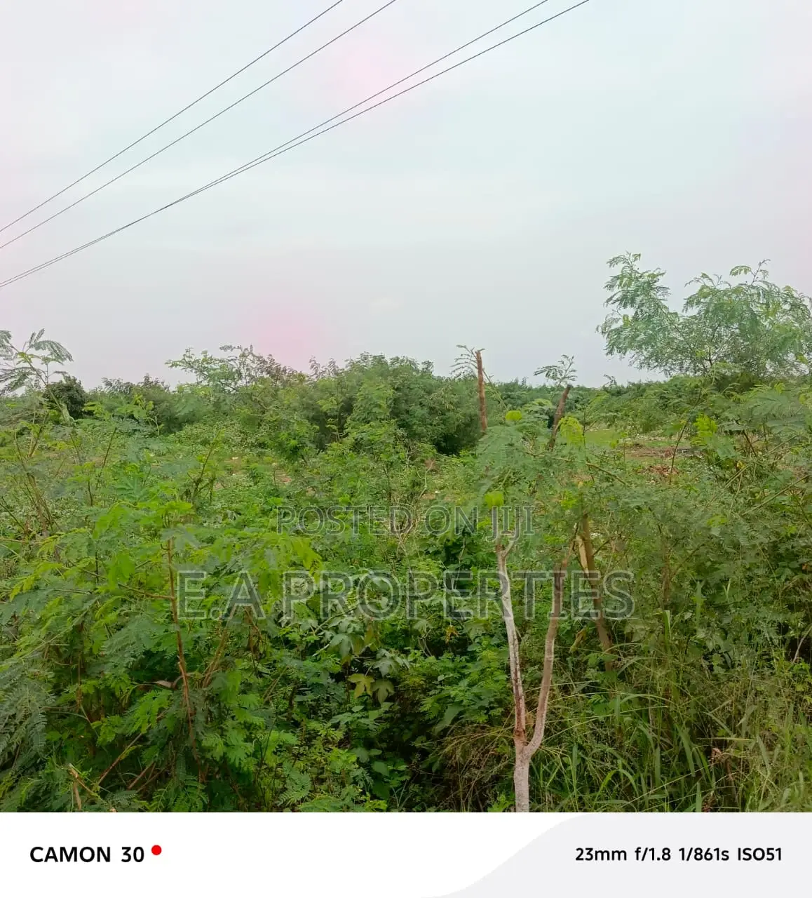 19 Acres for Land for Sale