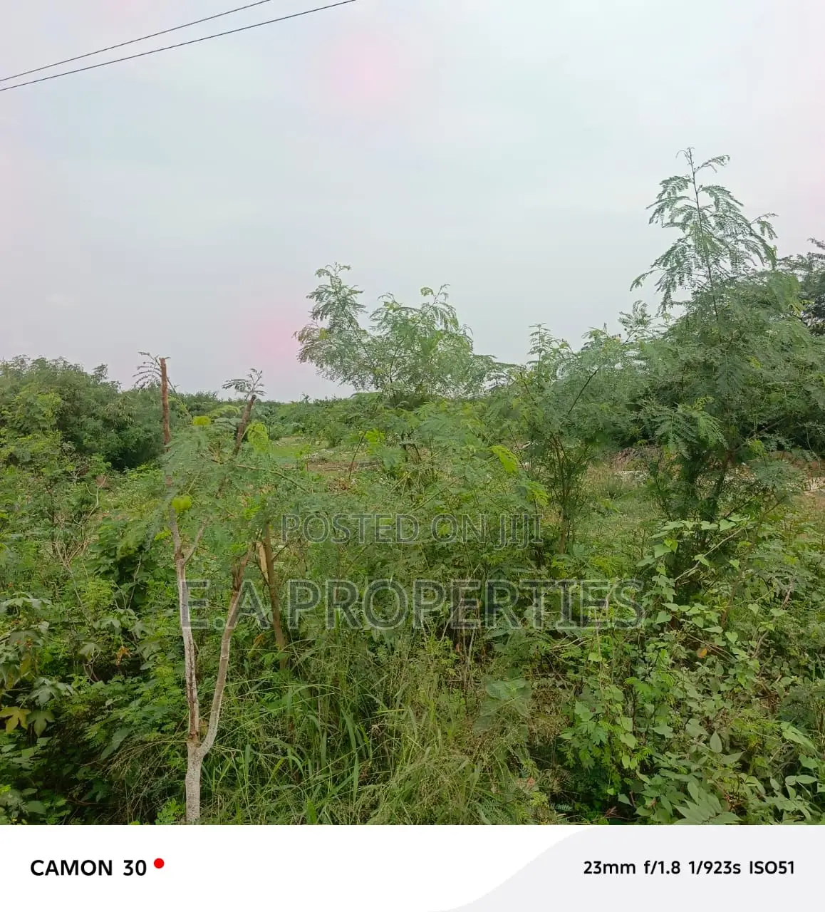 19 Acres for Land for Sale
