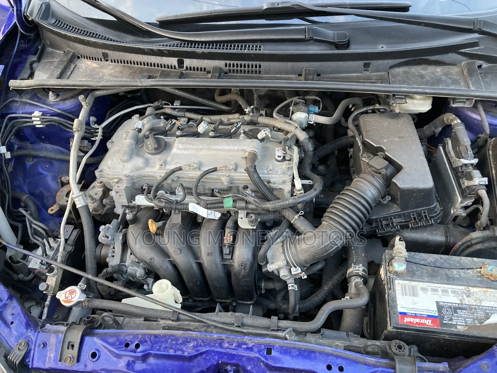 Toyota Corolla SE (1.8L 4cyl 2A) 2018 Blue
