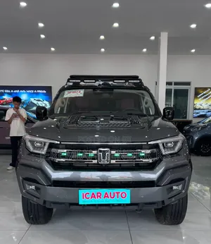 Great Wall King Kong Cannon Petrol 4WD 2025 Gray