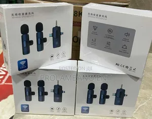 Wireless Mic