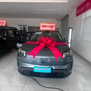 New Aion V 2024 Gray