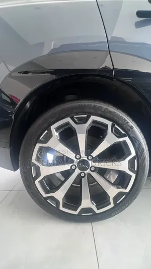 New Aion V 2024 Gray