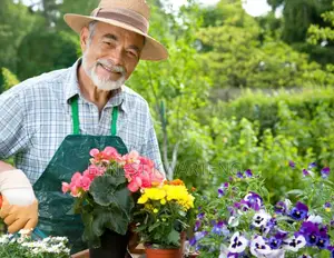 Professional Gardener