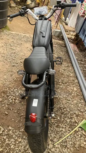 Himoto Electric Bike