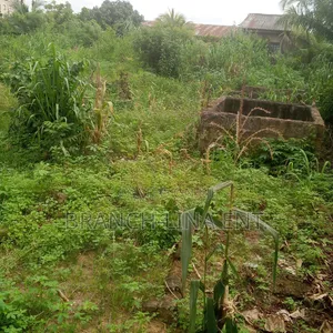 A Plot of Land
