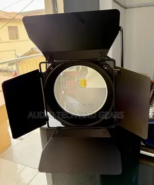Prolumen 200 Watts COB Fresnel Light