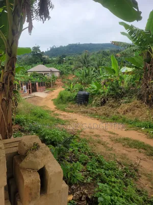 Plots of Land With 3bed Room Foundation Building and Houses for Sale.