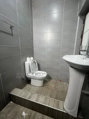 2bdrm Apartment in Burma Camp for rent