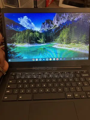 Laptop Samsung Chromebook XE310 4GB Intel Celeron HDD 40GB