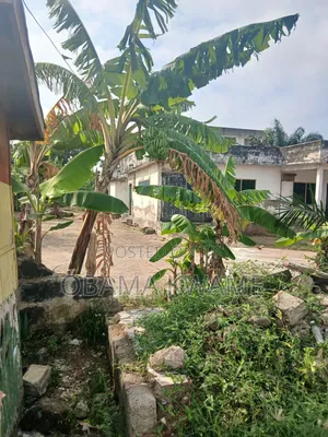 1 Plot of Land for Sale at Dansoman South Odorkor