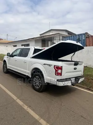 Ford F-150 2019 White