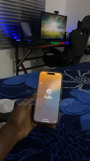Apple iPhone 16 Pro Max 256 GB Gray