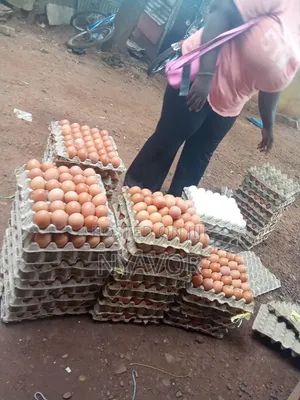 Provision Provision