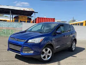 Ford Escape 2014 Blue