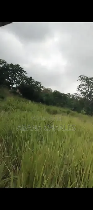 Am Selling My Own Property