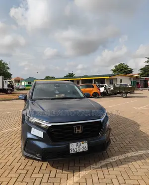 Affordable Car Rentals