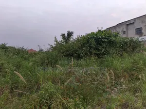 Plot for Sale at Mampongteng Dumanafo