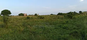 100% Premium Plots (Prampram Beach Road)