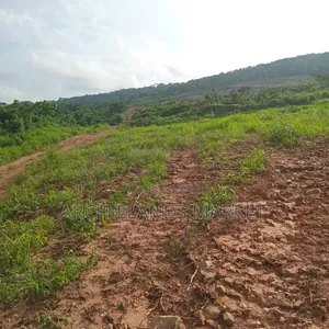 Land Available at Adamrobe