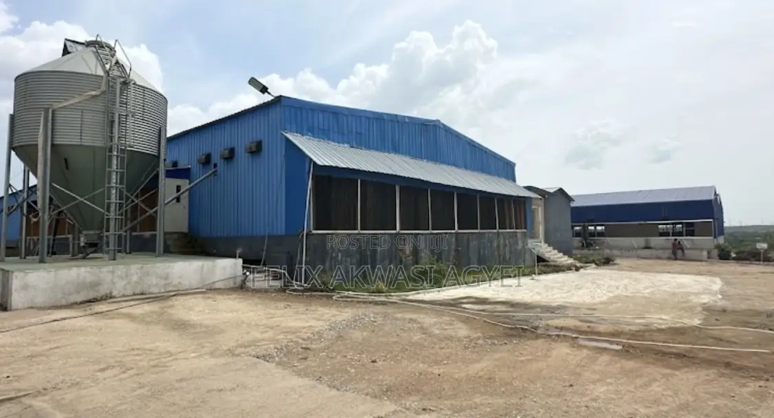 Veterinary Officer Needed at Ultimate Farms