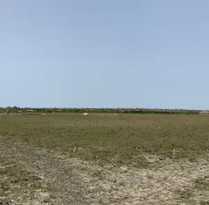 Full Plots = (Prampram) - Airport City Lands for Sale_ __