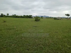 1. Own Full Plot at Shai Hills