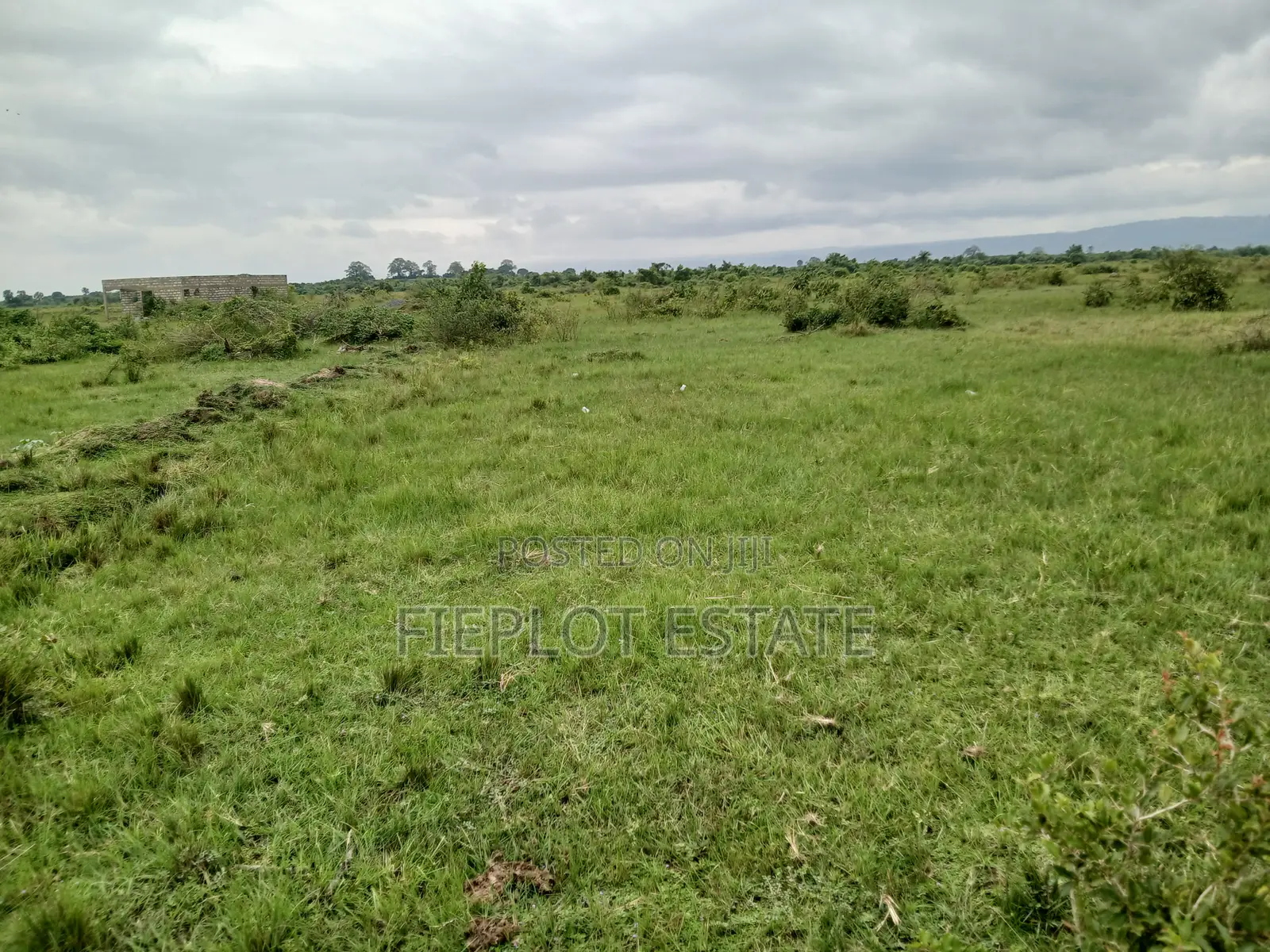 1. Own Full Plot at Shai Hills
