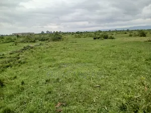 1. Own Full Plot at Shai Hills