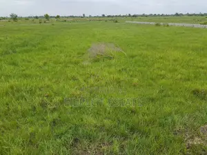1. Own Full Plot at Shai Hills