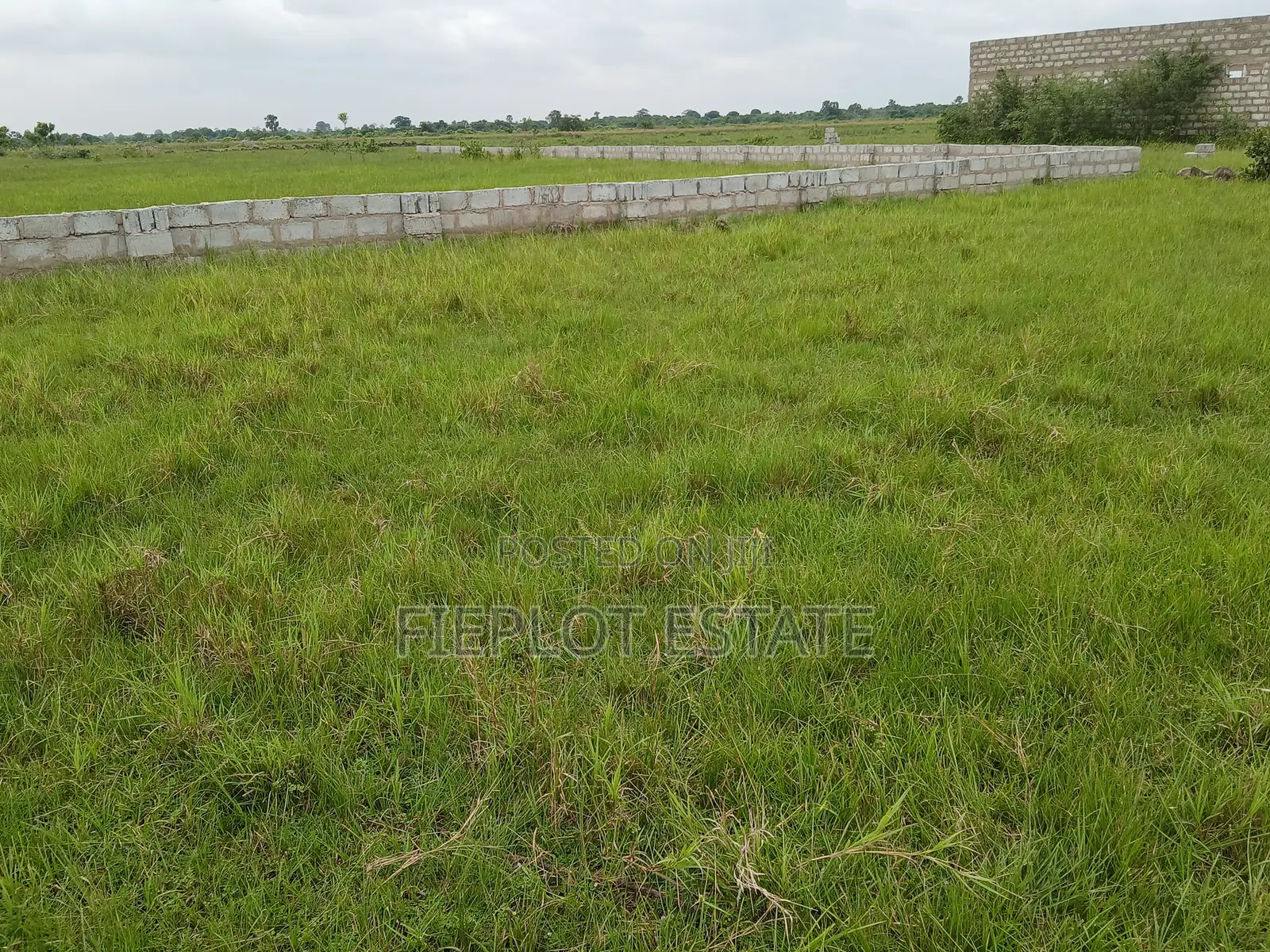 Affordable Full Plot (70x100ft)at Shai Hills