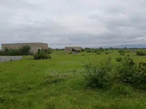 Affordable Full Plot (70x100ft)at Shai Hills