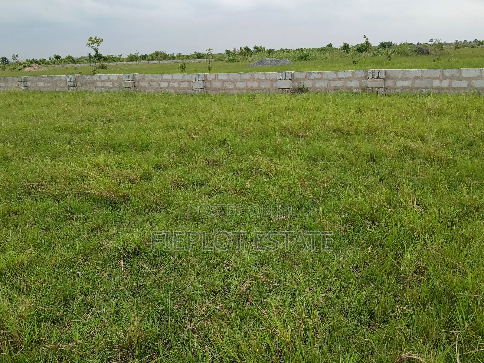 Affordable Full Plot (70x100ft)at Shai Hills